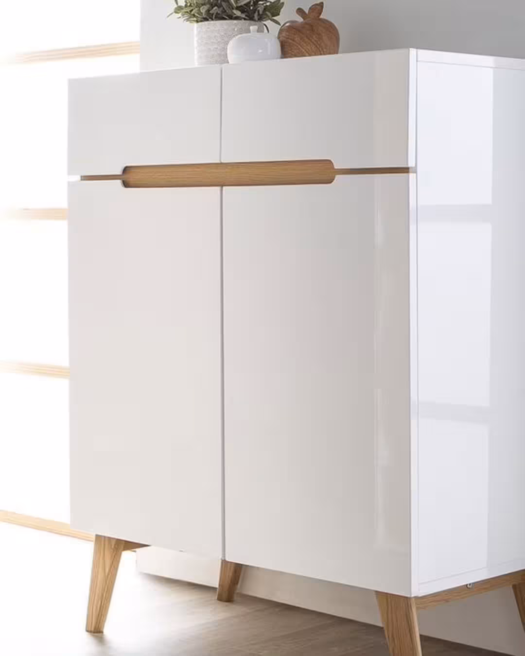 Minimalist Scandinavian Two-Door Storage Cabinet